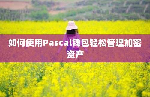 如何使用Pascal钱包轻松管理加密资产