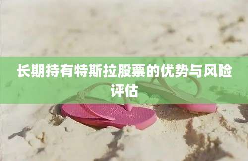 长期持有特斯拉股票的优势与风险评估