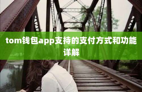 tom钱包app支持的支付方式和功能详解