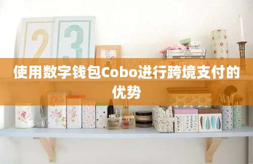 使用数字钱包Cobo进行跨境支付的优势