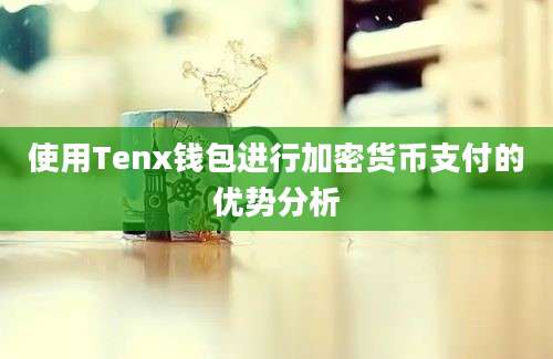 使用Tenx钱包进行加密货币支付的优势分析