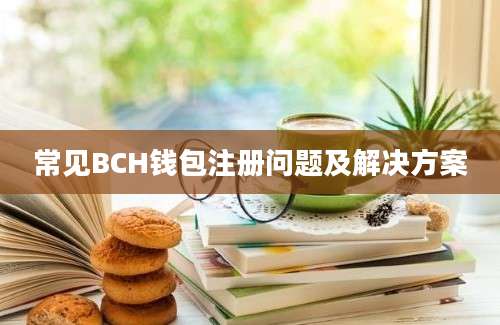 常见BCH钱包注册问题及解决方案