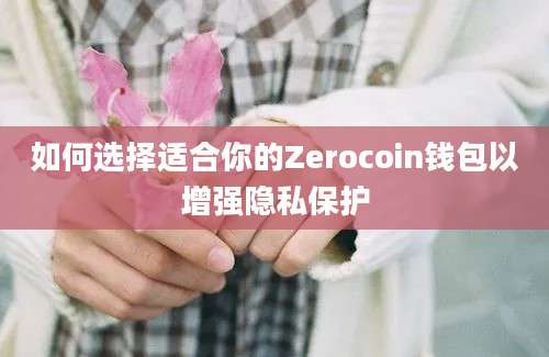 如何选择适合你的Zerocoin钱包以增强隐私保护