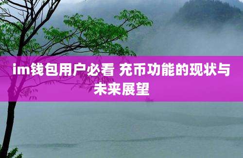 im钱包用户必看 充币功能的现状与未来展望