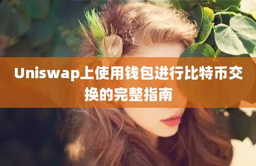 Uniswap上使用钱包进行比特币交换的完整指南