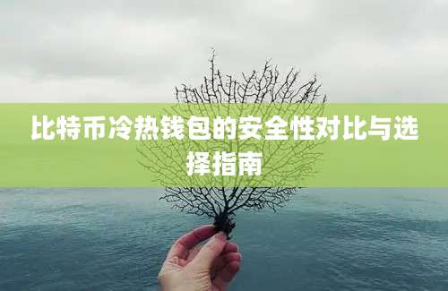 比特币冷热钱包的安全性对比与选择指南