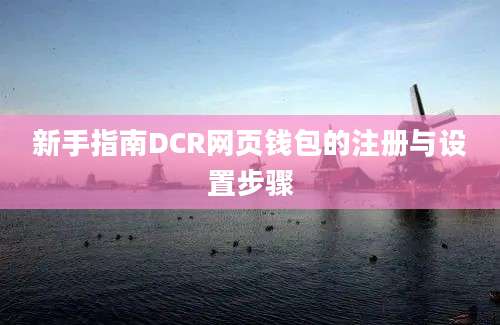 新手指南DCR网页钱包的注册与设置步骤