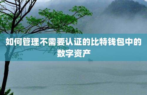 如何管理不需要认证的比特钱包中的数字资产