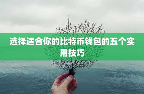 选择适合你的比特币钱包的五个实用技巧