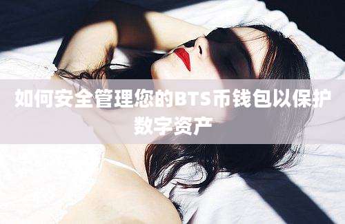 如何安全管理您的BTS币钱包以保护数字资产