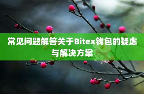 常见问题解答关于Bitex钱包的疑虑与解决方案