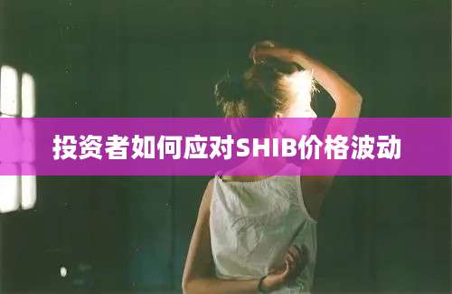 投资者如何应对SHIB价格波动