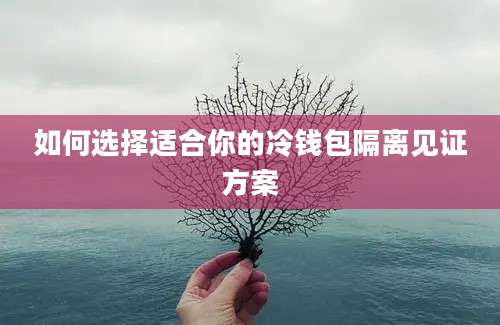 如何选择适合你的冷钱包隔离见证方案