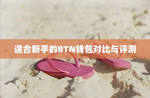 适合新手的BTN钱包对比与评测