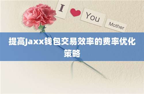 提高Jaxx钱包交易效率的费率优化策略