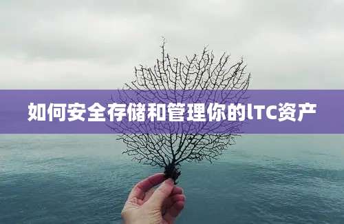 如何安全存储和管理你的lTC资产