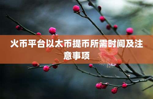 火币平台以太币提币所需时间及注意事项