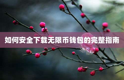 如何安全下载无限币钱包的完整指南