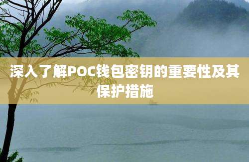 深入了解POC钱包密钥的重要性及其保护措施