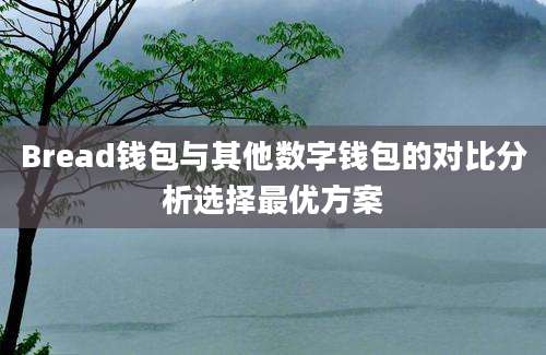 Bread钱包与其他数字钱包的对比分析选择最优方案