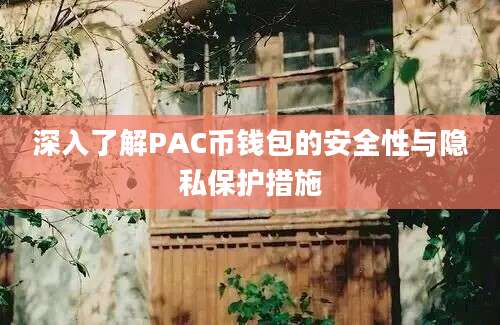 深入了解PAC币钱包的安全性与隐私保护措施