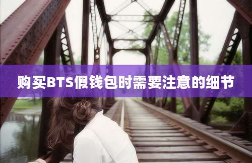 购买BTS假钱包时需要注意的细节