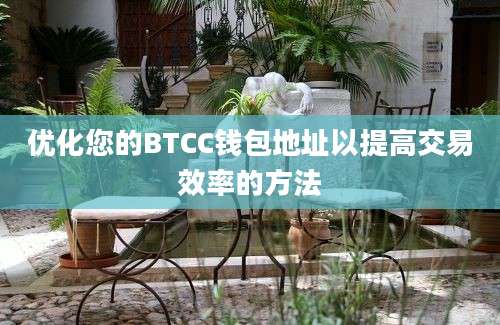 优化您的BTCC钱包地址以提高交易效率的方法