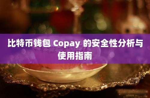 比特币钱包 Copay 的安全性分析与使用指南