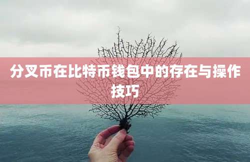 分叉币在比特币钱包中的存在与操作技巧