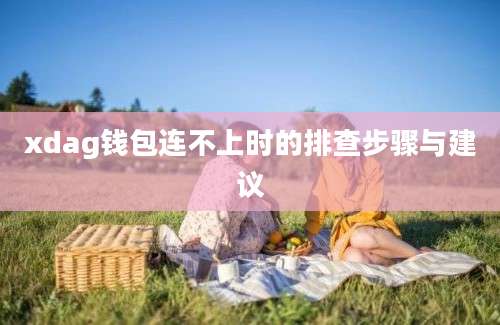 xdag钱包连不上时的排查步骤与建议