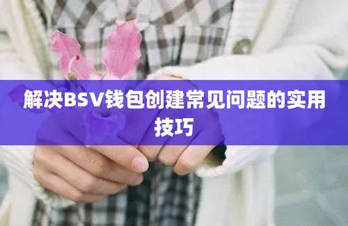 解决BSV钱包创建常见问题的实用技巧