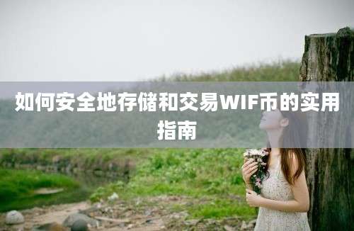 如何安全地存储和交易WIF币的实用指南