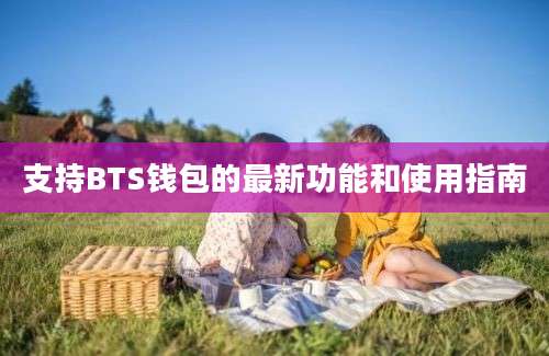 支持BTS钱包的最新功能和使用指南