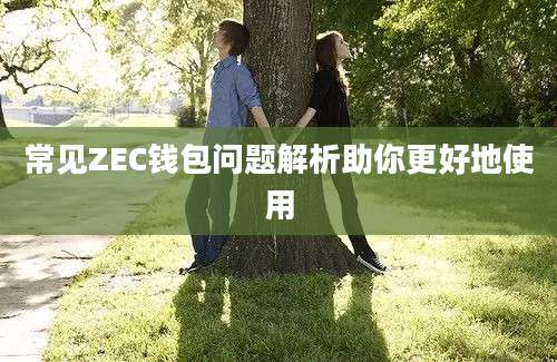 常见ZEC钱包问题解析助你更好地使用