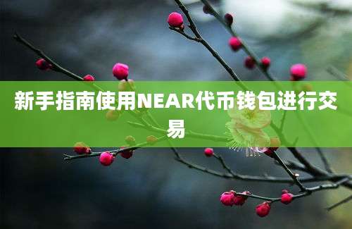 新手指南使用NEAR代币钱包进行交易