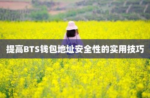 提高BTS钱包地址安全性的实用技巧