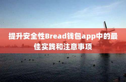 提升安全性Bread钱包app中的最佳实践和注意事项