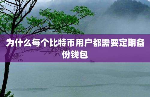 为什么每个比特币用户都需要定期备份钱包