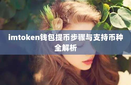 imtoken钱包提币步骤与支持币种全解析