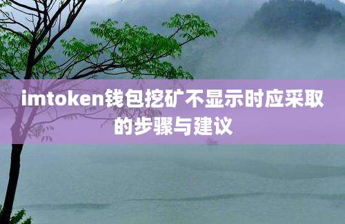 imtoken钱包挖矿不显示时应采取的步骤与建议