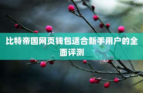 比特帝国网页钱包适合新手用户的全面评测