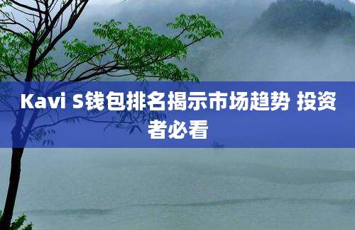 Kavi S钱包排名揭示市场趋势 投资者必看