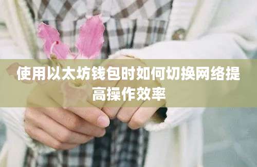 使用以太坊钱包时如何切换网络提高操作效率