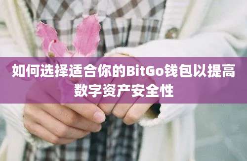 如何选择适合你的BitGo钱包以提高数字资产安全性