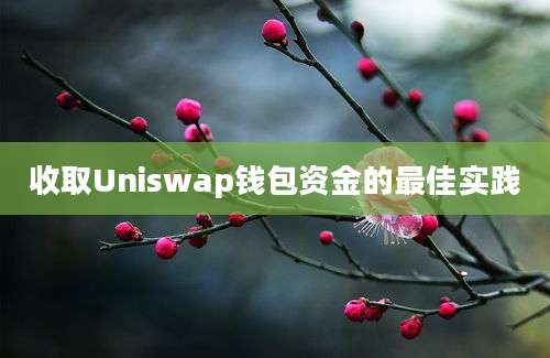 收取Uniswap钱包资金的最佳实践