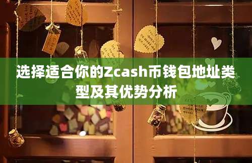 选择适合你的Zcash币钱包地址类型及其优势分析