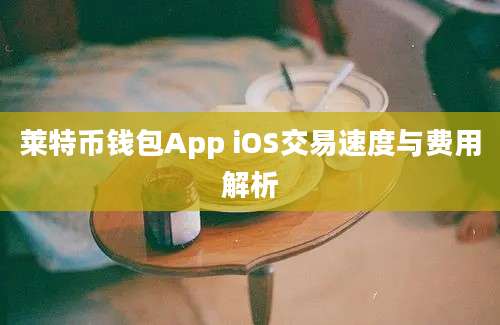 莱特币钱包App iOS交易速度与费用解析