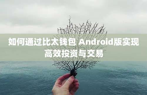 如何通过比太钱包 Android版实现高效投资与交易