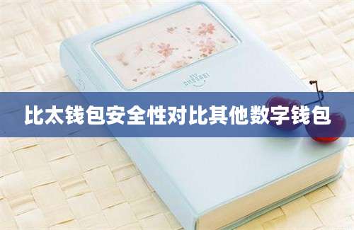 比太钱包安全性对比其他数字钱包