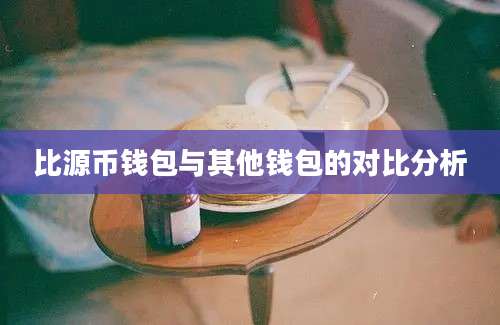 比源币钱包与其他钱包的对比分析